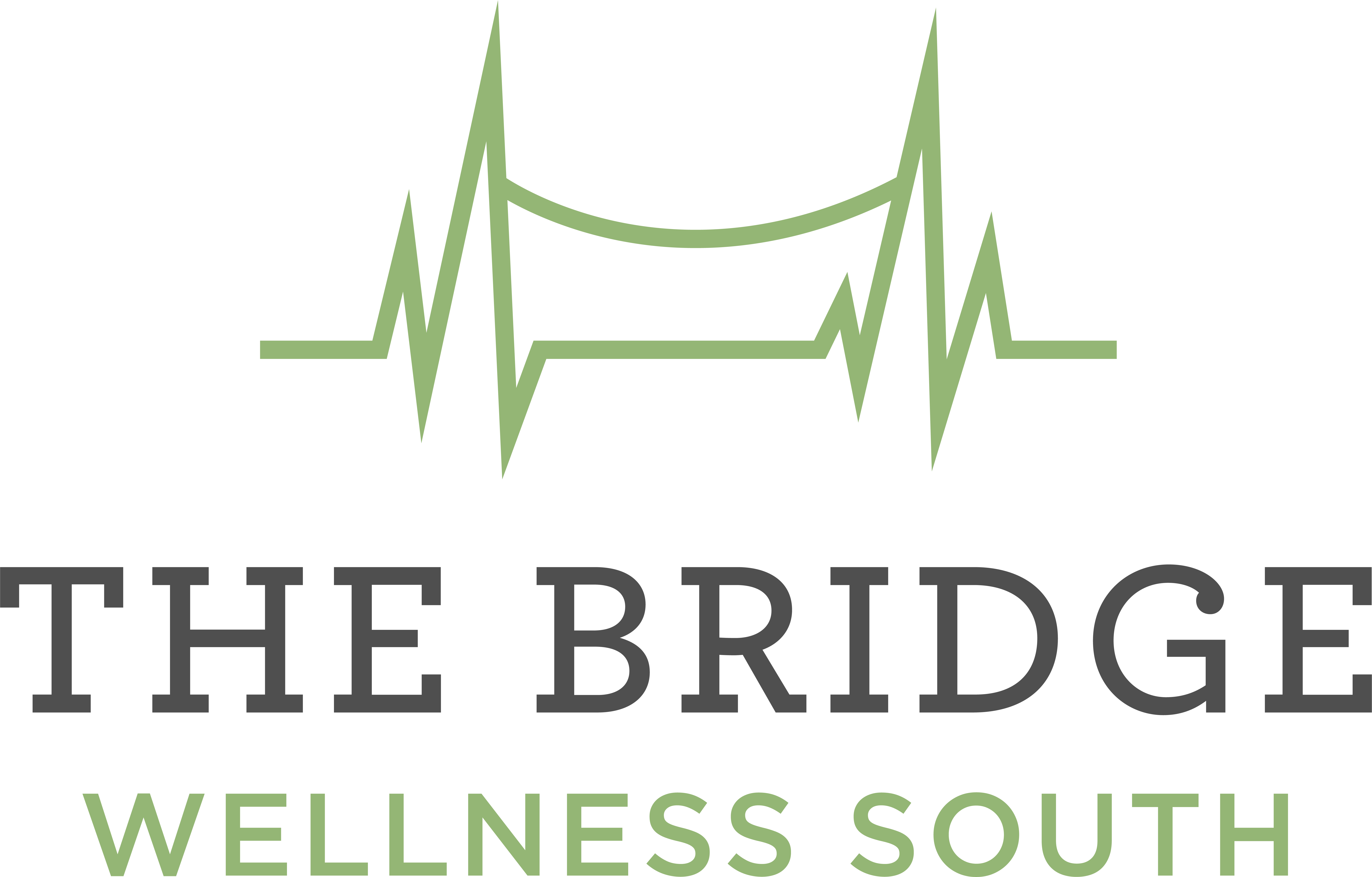 Bridge Wellness South Logo